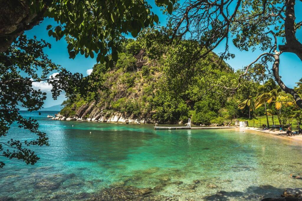 Caraibes Cottage Grenat Piscine Privee 900M De Grande Anse Десе Екстер'єр фото