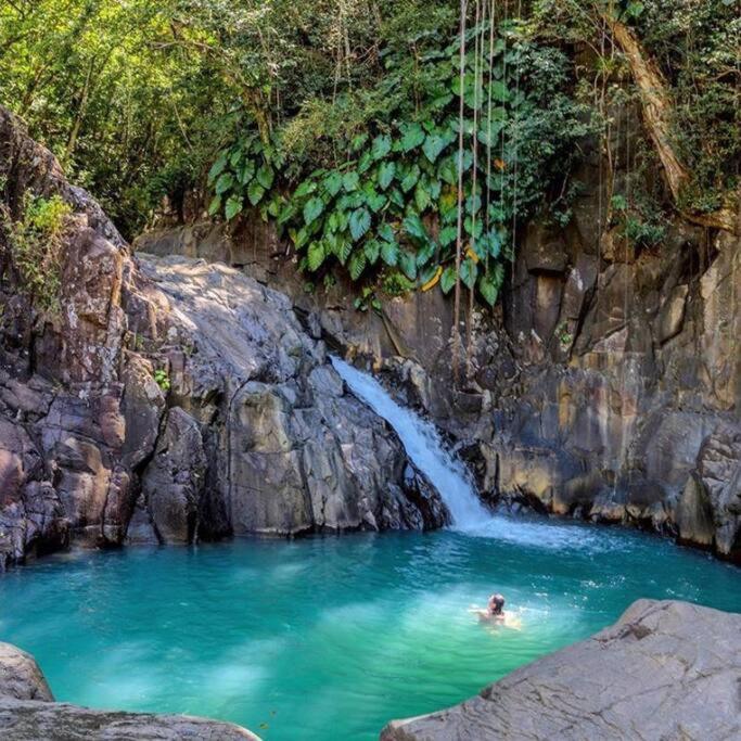 Caraibes Cottage Grenat Piscine Privee 900M De Grande Anse Десе Екстер'єр фото