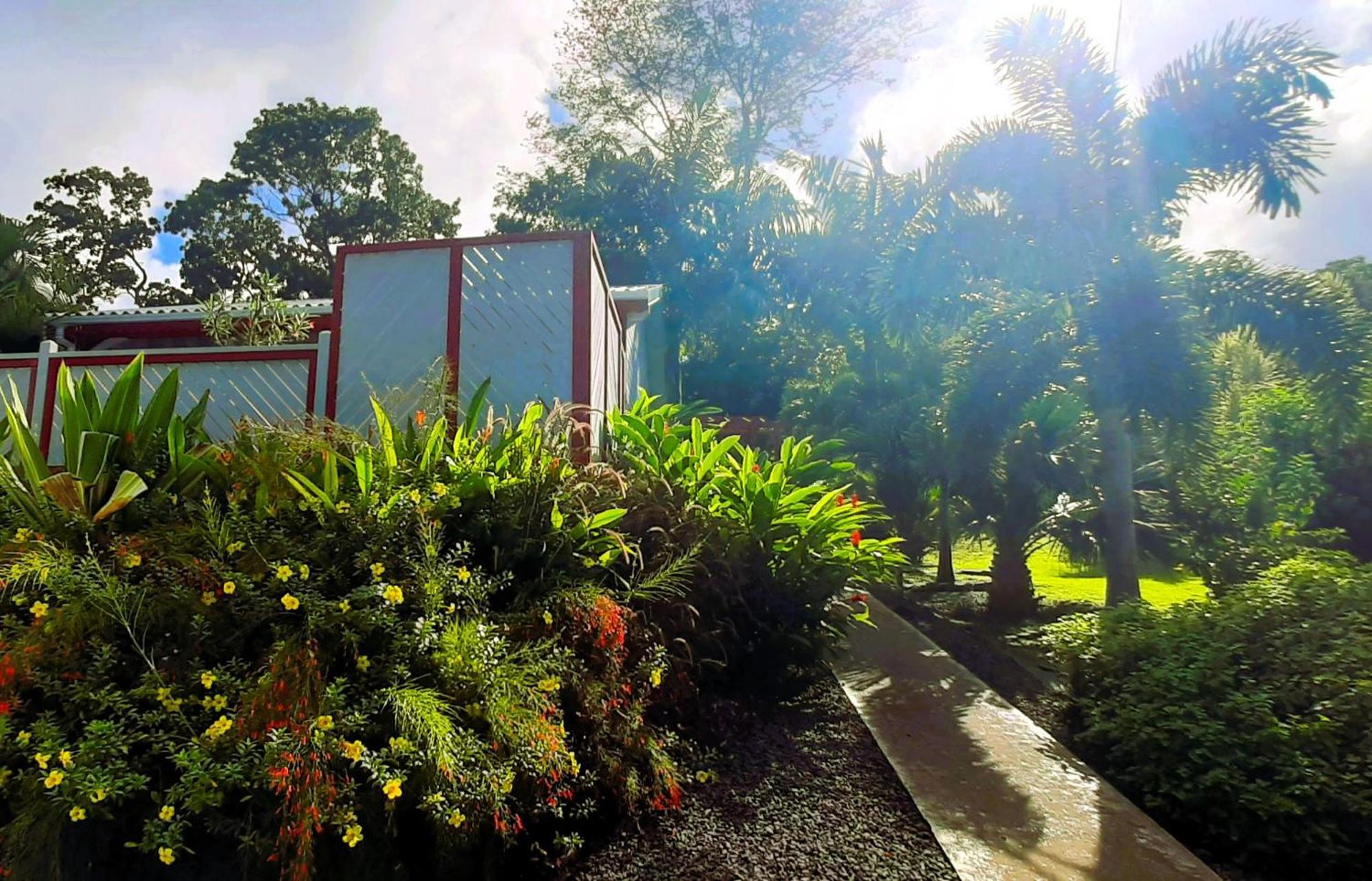 Caraibes Cottage Grenat Piscine Privee 900M De Grande Anse Десе Екстер'єр фото