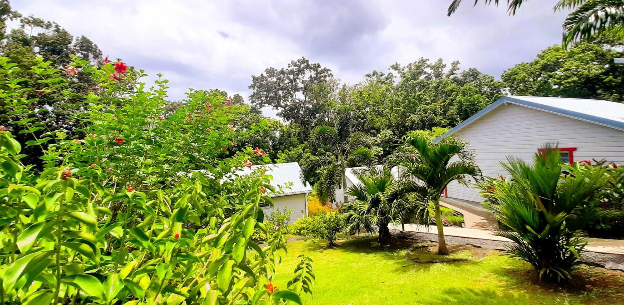 Caraibes Cottage Grenat Piscine Privee 900M De Grande Anse Десе Екстер'єр фото