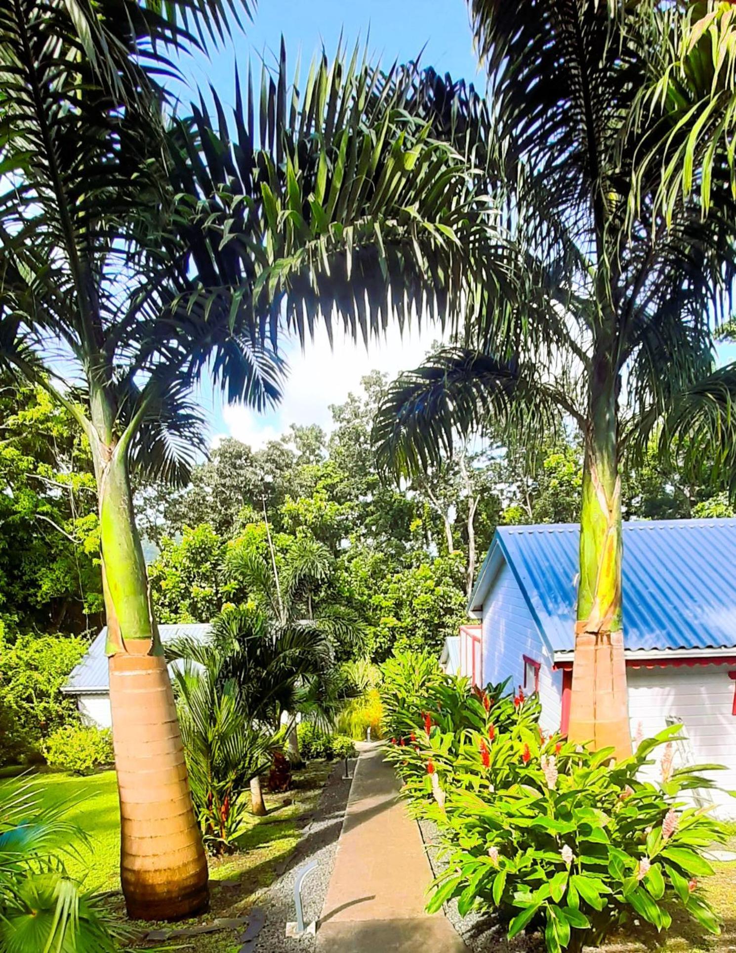 Caraibes Cottage Grenat Piscine Privee 900M De Grande Anse Десе Екстер'єр фото
