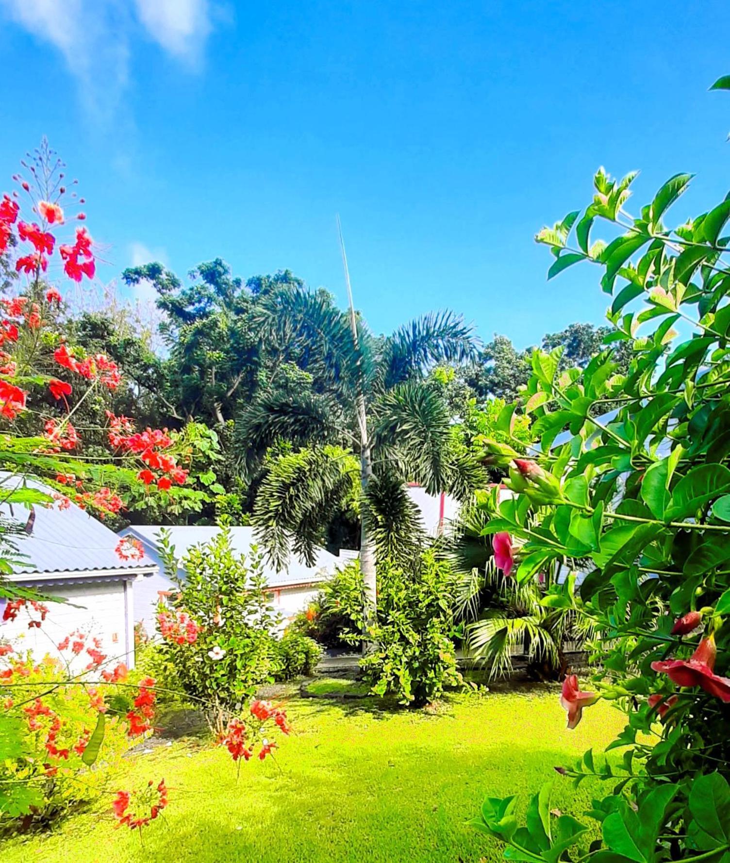 Caraibes Cottage Grenat Piscine Privee 900M De Grande Anse Десе Екстер'єр фото